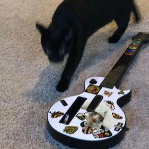 午夜福利无码国产在线观看免费
