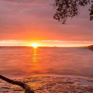 午夜福利无码国产在线观看免费
