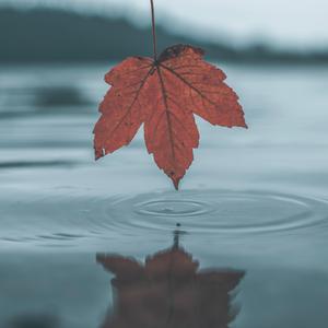 午夜福利无码国产在线观看免费
