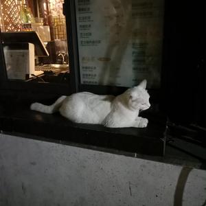 午夜福利无码国产在线观看免费
